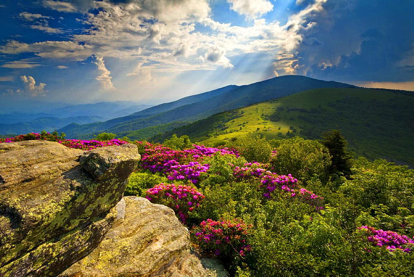 5 Tempat Paling Menakjubkan Di Karolina Utara Barat, Pegunungan Blue Ridge Wallpaper HD