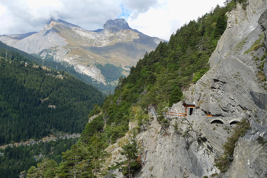 자연, 산, 숲, 운동장, 플랫폼, 스위스, 전망 HD 월페이퍼