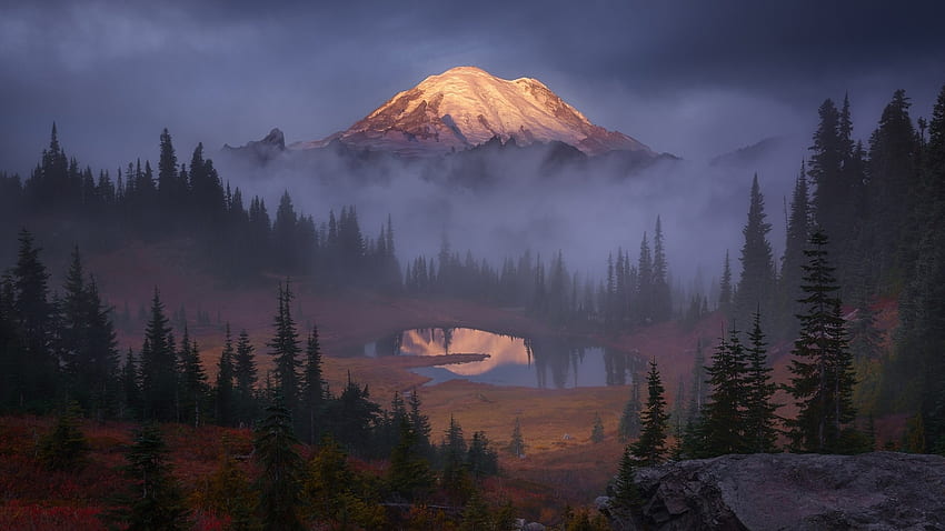 Mount Rainier w porannej mgle, Waszyngton, kraj, drzewa, bezdroża, szczyt Tapeta HD