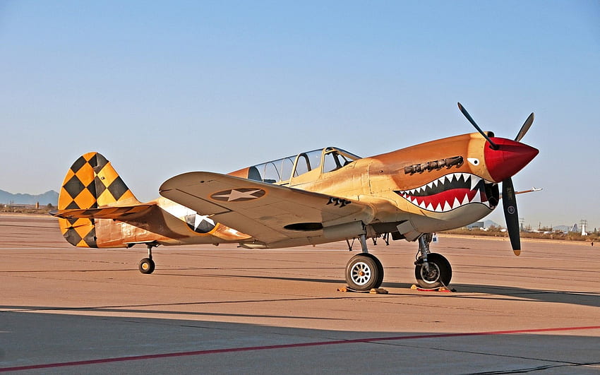Aviões de guerra P40 aeronaves militares, Warbird papel de parede HD
