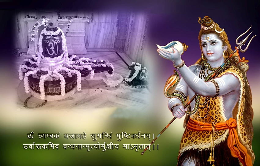 Happy Maha Shivratri - Good Morning Mahashivratri - & Background , Shiv  Ratri HD wallpaper | Pxfuel