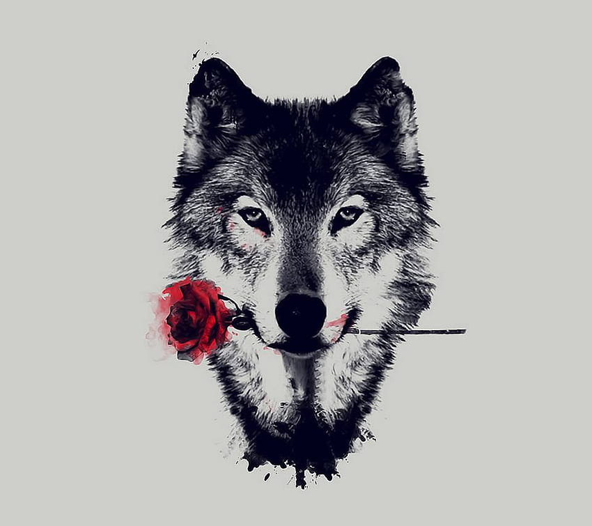 Lobo - Wolf Drawing Black And White - & Background HD wallpaper