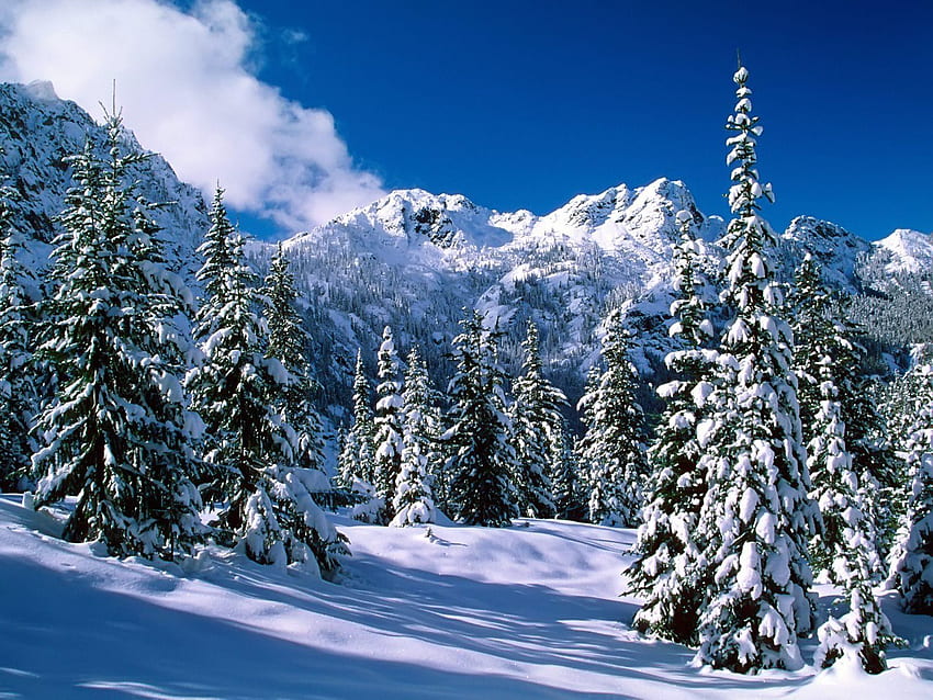 Alpine Lakes Wilderness Winter Nature HD wallpaper
