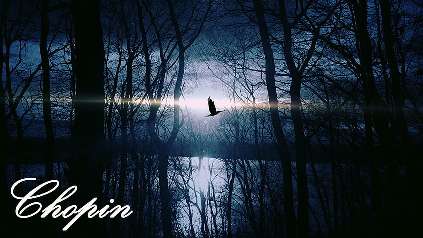 Chopin - Nocturne Op. 9 Nr. 2 (60 MINUTEN) - Klassische Musik Klavierstudium Konzentration Lesen. Gute Nacht Freunde, Nachtgrafik, Naturvögel HD-Hintergrundbild