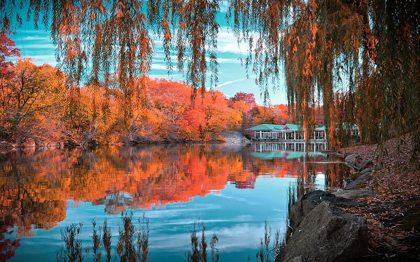 Central Park, NY, fall, colors, autumn, trees, water, usa, reflections, leaves HD wallpaper