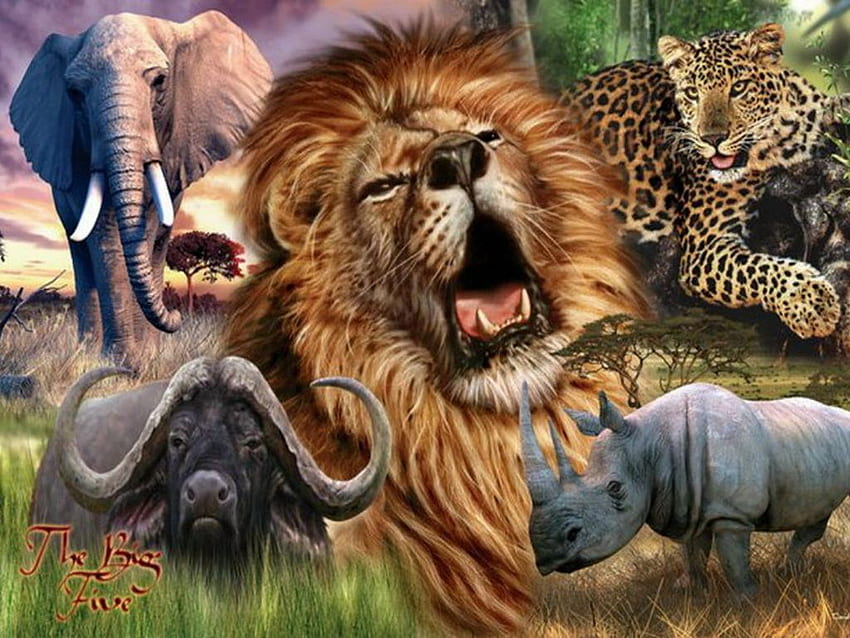 Los cinco grandes: Nexus. Animales salvajes, Grandes animales, Animales fondo de pantalla