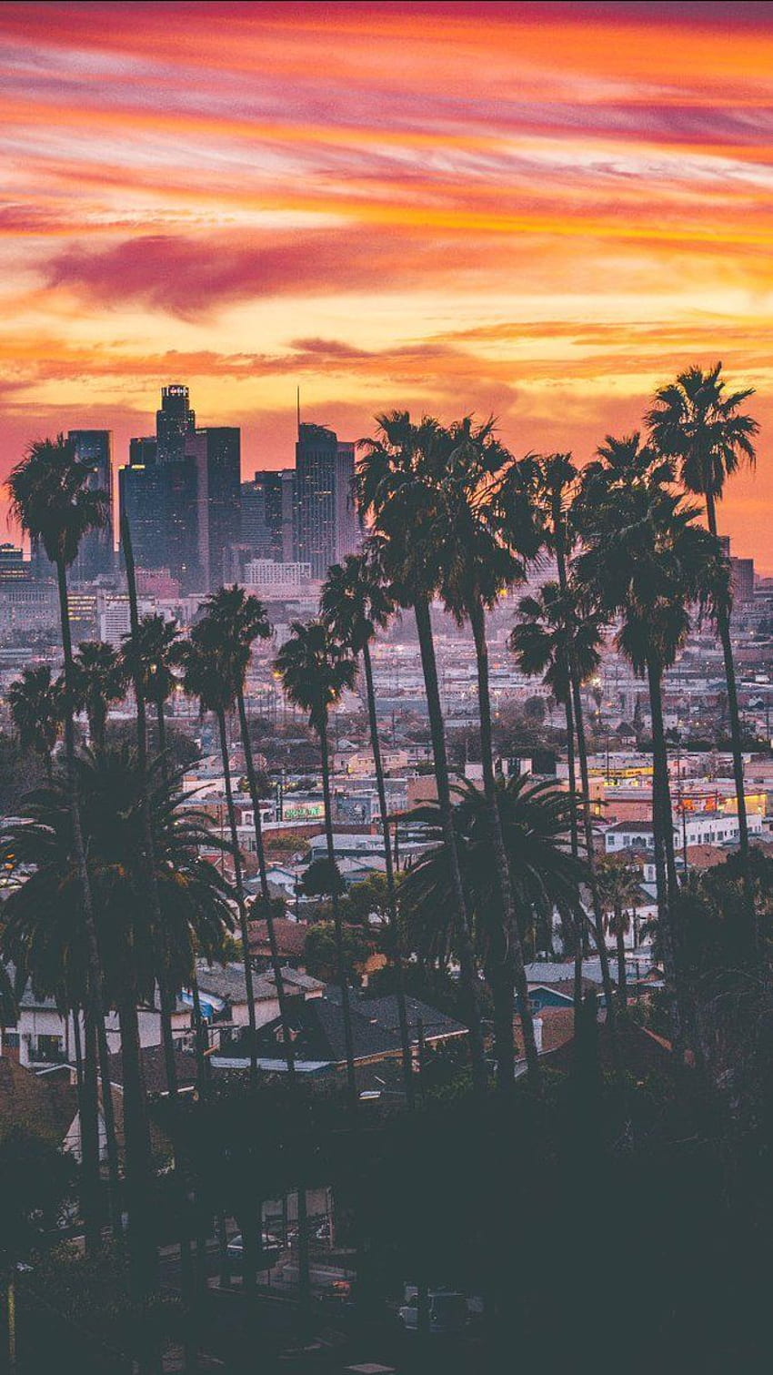 Innenstadt von LA. Los Angeles, Kalifornien, Los Angeles Ästhetik, Los Angeles Ästhetik iPhone HD-Handy-Hintergrundbild