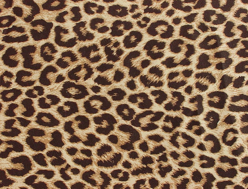Leopard Print, Leopard Pattern HD wallpaper