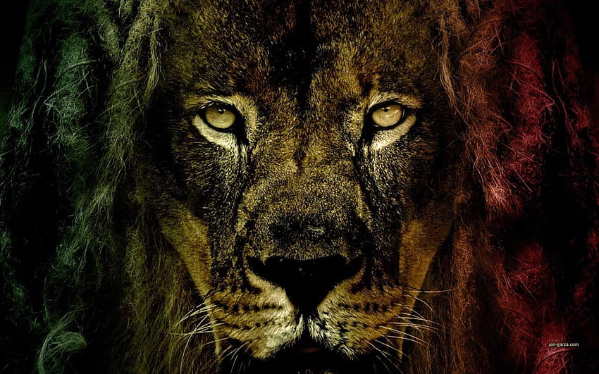 Rasta Lion, Cool Rasta Lion HD wallpaper