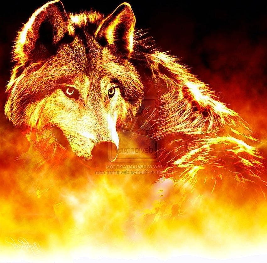 Wall Mural Wallpaper Fire Wolf Blue Red Flame 350x250cm for Living Room TV  Sofa Bedroom - Amazon.com