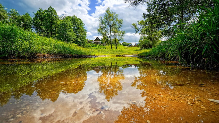 beautiful clear stream by a village r, trees, r, grass, clear, village, stream HD wallpaper