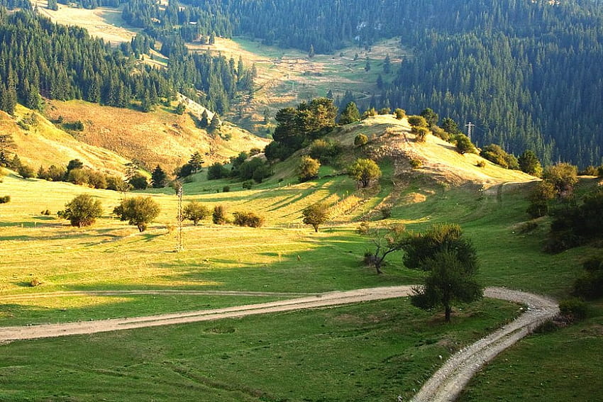 Rhodopy, cahaya, lapangan, hijau, bulgaria, pohon, langit,, gunung Wallpaper HD