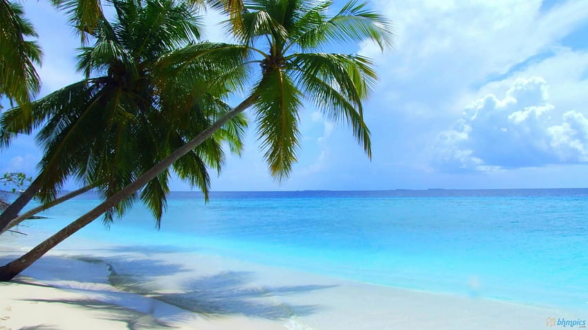 Malediven. Schöne Strände, Strandlandschaft, die meisten, Malediven-Landschaft HD-Hintergrundbild