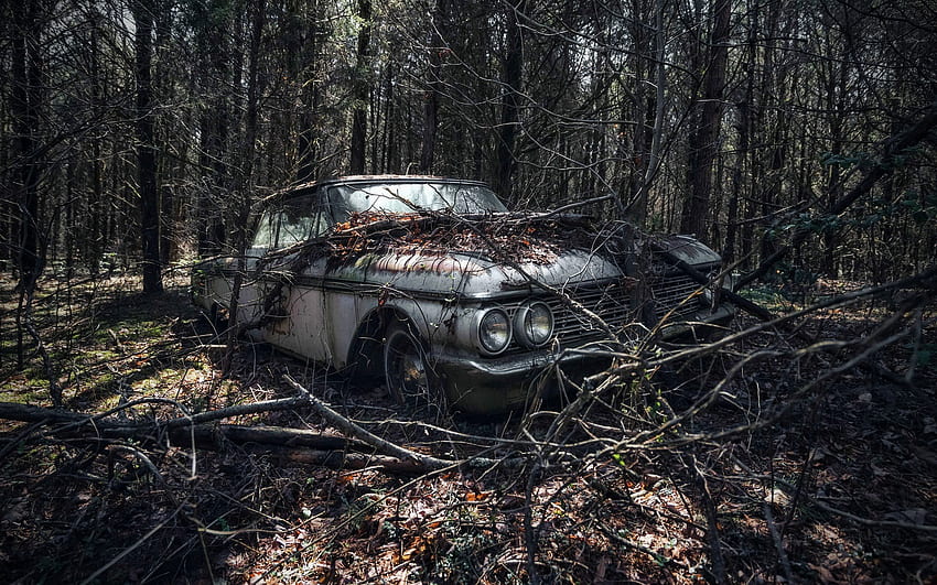 Abandoned Chevrolet Impala, forest, 1959 cars, Chevrolet Impala, retro cars, 1959 Chevrolet Impala, american cars, Chevrolet HD wallpaper