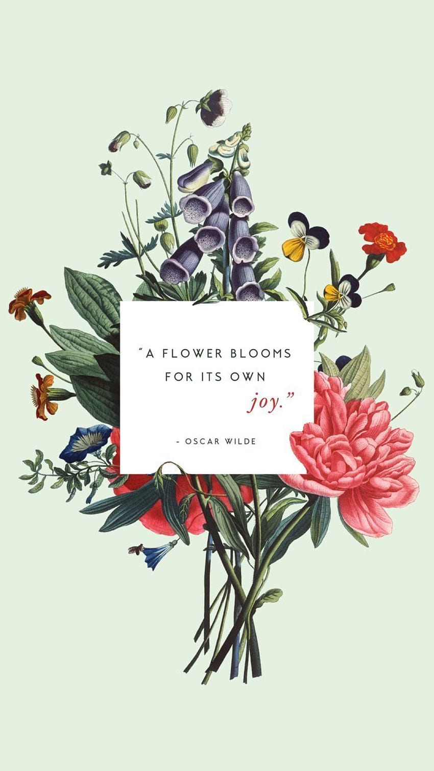 Bouquet floral Oscar Wilde citação primavera telefone Lynn Meadows grafia. Citações inspiradoras, Citações florais Papel de parede de celular HD
