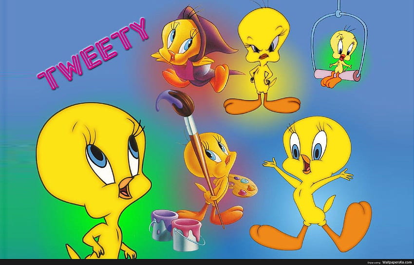 Pilgrim Tweety Bird Wall HD wallpaper | Pxfuel