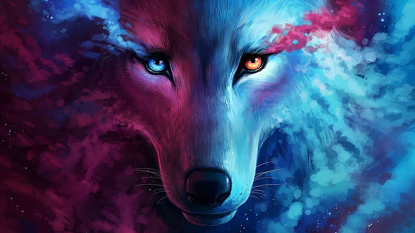 Lobo genial para, lindo zorro y lobo fondo de pantalla