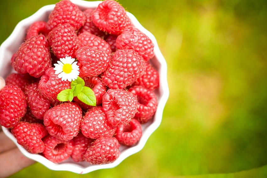 *** Raspberry Lezat ***, natura, owoce, maliny, warzywa Wallpaper HD