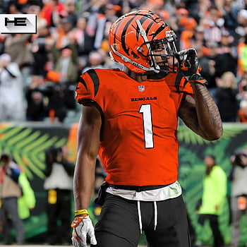 Wallpaper ID: 381887 / Sports Cincinnati Bengals, 1080x1920 Phone