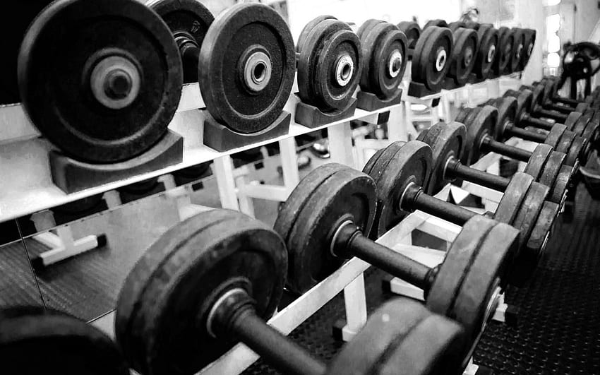 Physical Fitness, Exercise Equipment, Black and White, Barbell HD wallpaper