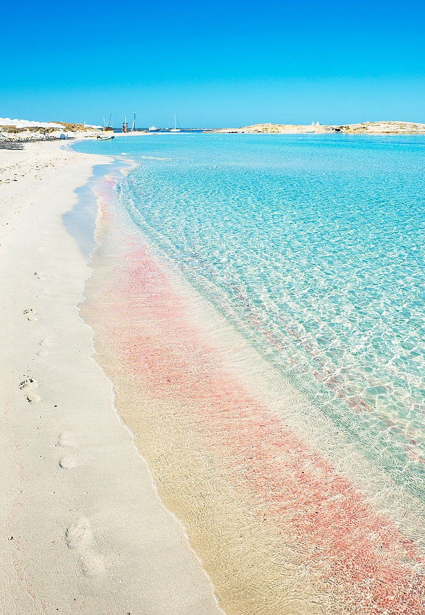 Najpiękniejsze plaże z różowym piaskiem na świecie. Condé Nast Traveler, plaża z różowym piaskiem Tapeta na telefon HD