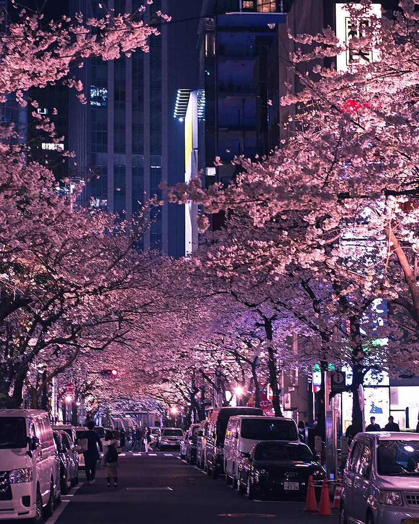 Nihonbashi - Tokio Japón. fondo de pantalla del teléfono