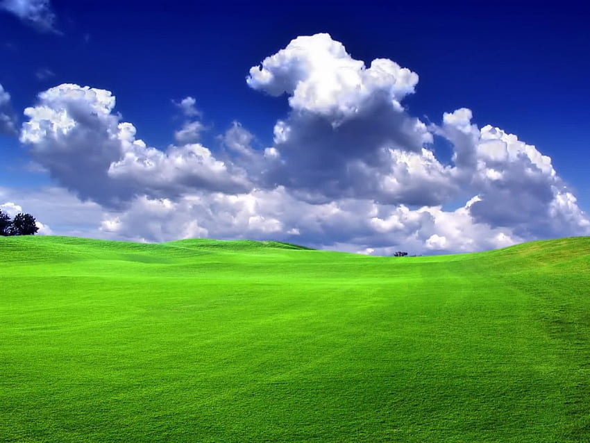 ทุ่งหญ้าเขียวขจี , ทุ่งนา , ธรรมชาติ , ทุ่งนา วอลล์เปเปอร์ HD