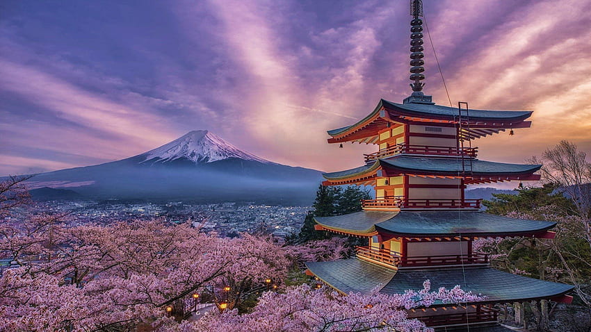 Планината Фуджи и фон, Черешов цвят на планината Фуджи HD тапет