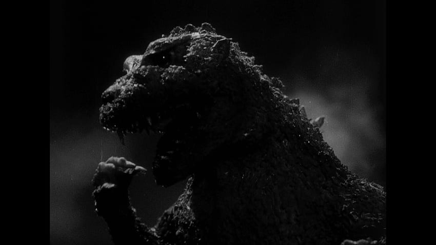 Godzilla (1954) HD wallpaper | Pxfuel