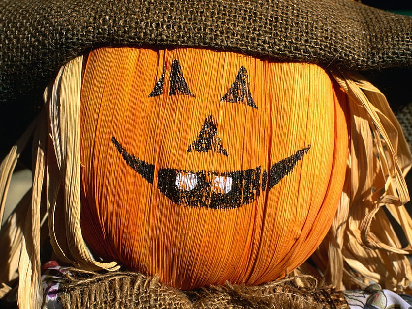 Funny Halloween pumpkin Halloween Holidays, Cute Halloween Pumpkin HD wallpaper