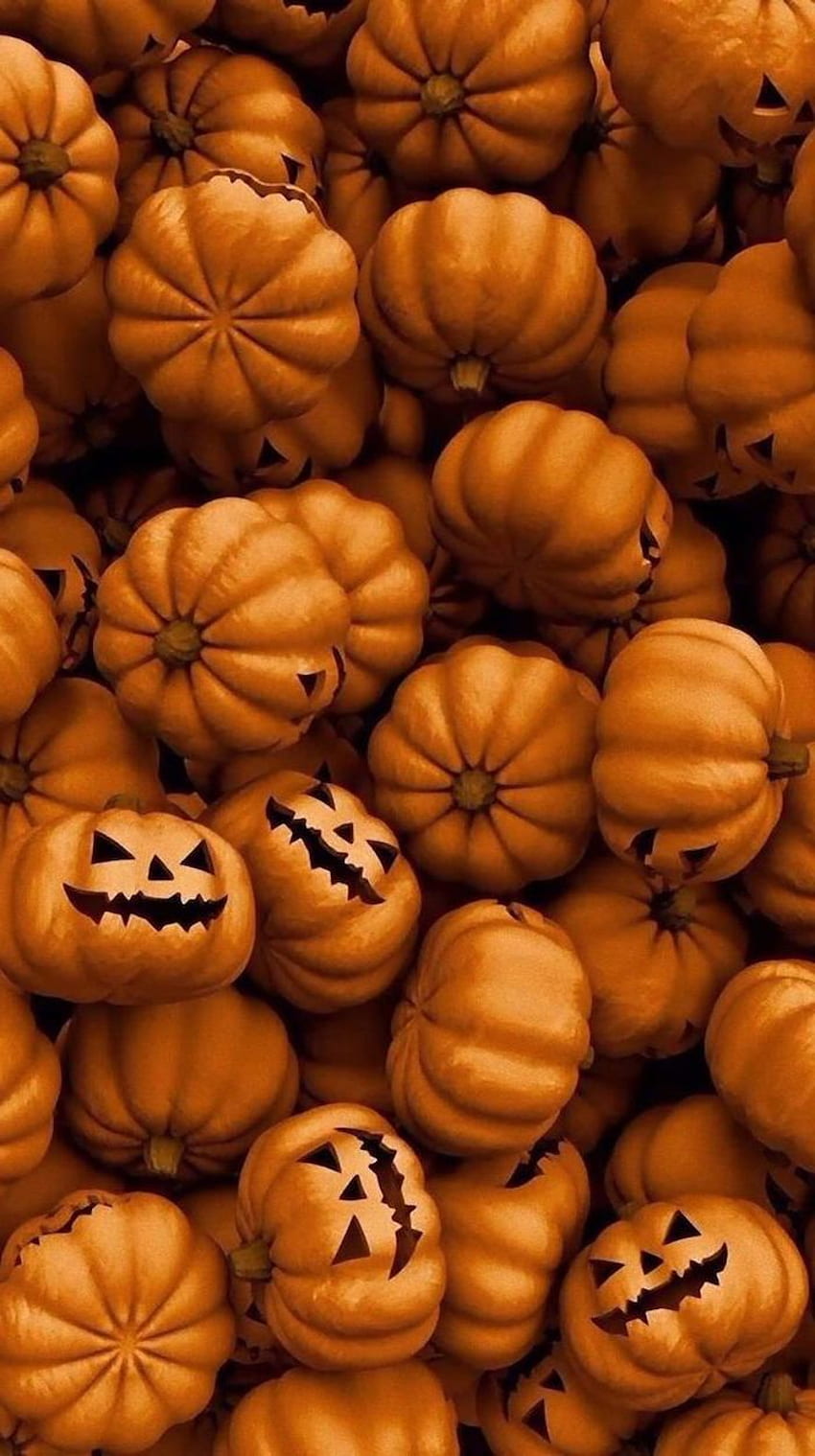 Pumpkins Ho autumn fall halloween harvest pattern pumpkin spooky  season HD phone wallpaper  Peakpx