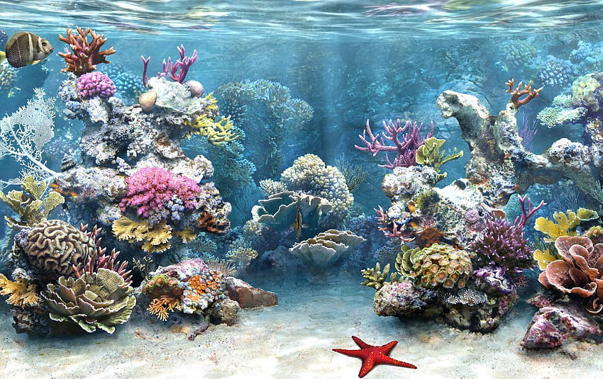 Unterwasserleben. Wasserwelt. Aquariumhintergrund, Aquarium, Cartoon-Aquarium HD-Hintergrundbild