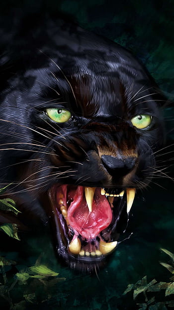 Angry black panther animal HD wallpapers | Pxfuel