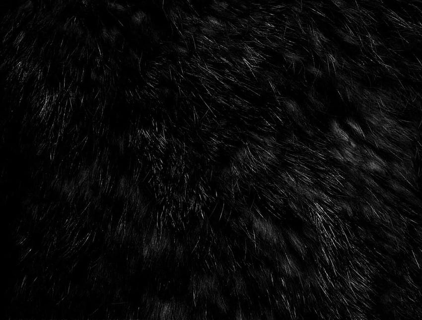 black fur (filtered). Dark side of the moon. Fur HD wallpaper