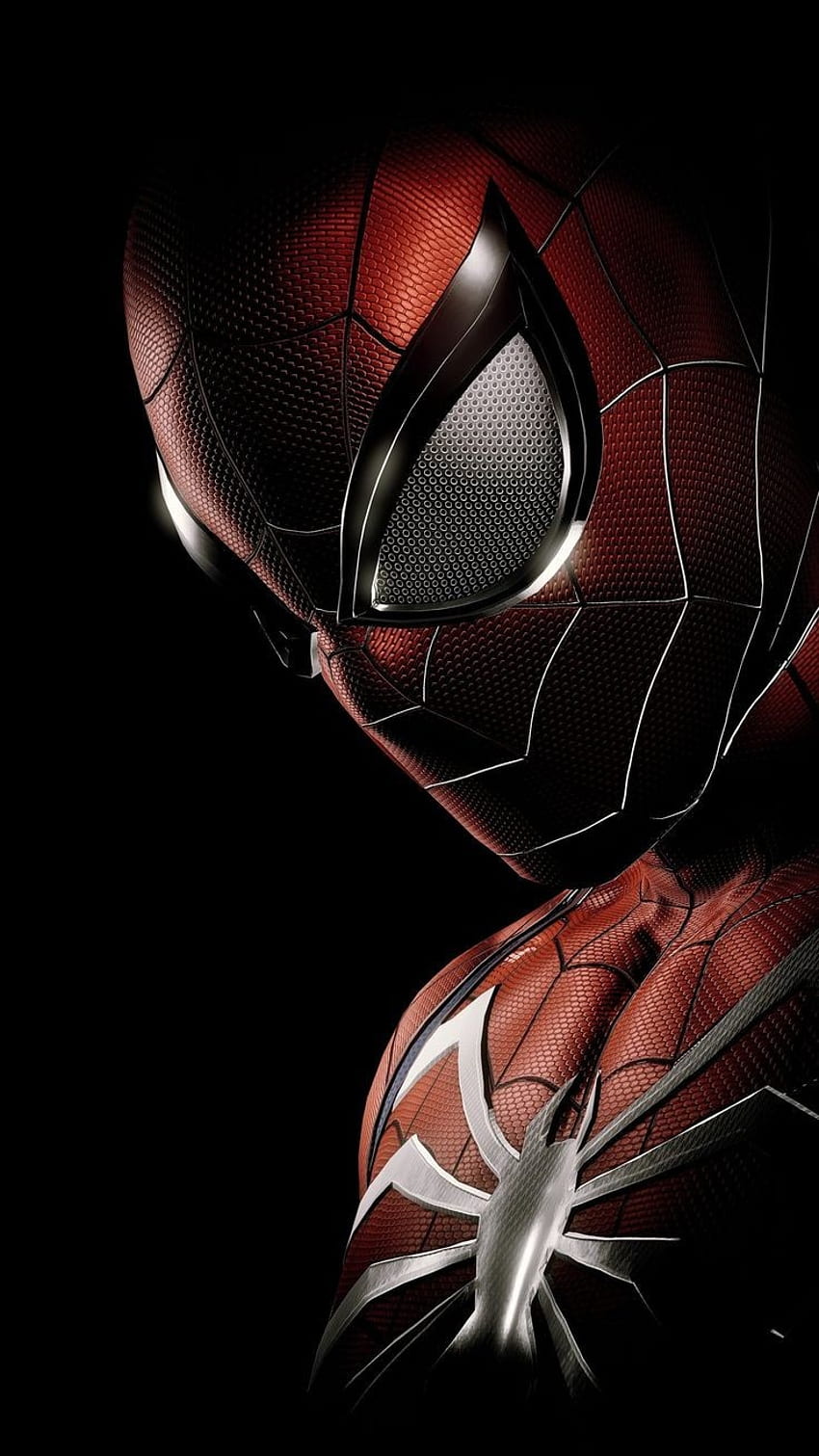 Spiderman, contant, tag HD phone wallpaper