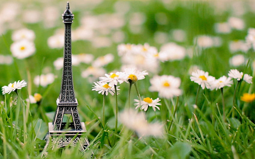 Flowers, Grass, Eiffel Tower, , , Trinket HD wallpaper