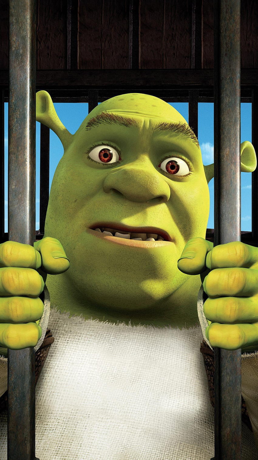 Shrek Meme Wallpaper 73806 1920x1080px