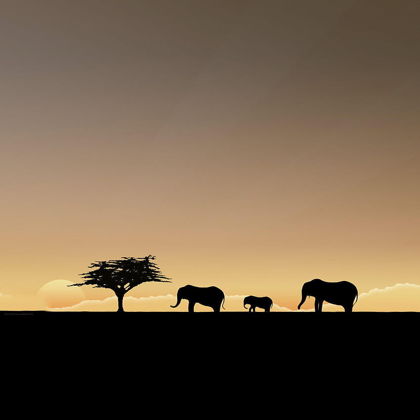 de archivo - Elefantes africanos silueteados al atardecer - iPad iPhone fondo de pantalla del teléfono
