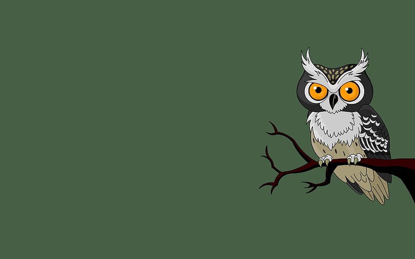 Owl branch owl bird green background minimalism, Minimalist Bird HD wallpaper