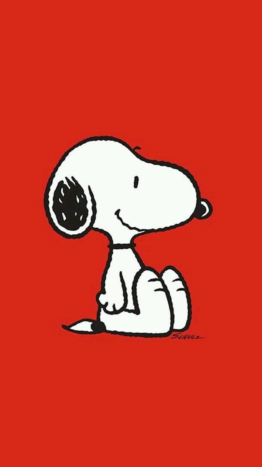 Richard Dean Stookey on Peanuts Gang. Snoopy , Snoopy , Snoopy funny ...