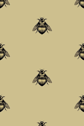 Bee Phone Wallpaper  Bee artwork Bee painting Art wallpaper