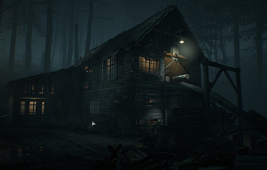 forest, light, night, house, ruins, Blair Witch, Sawmill for , section игры HD wallpaper