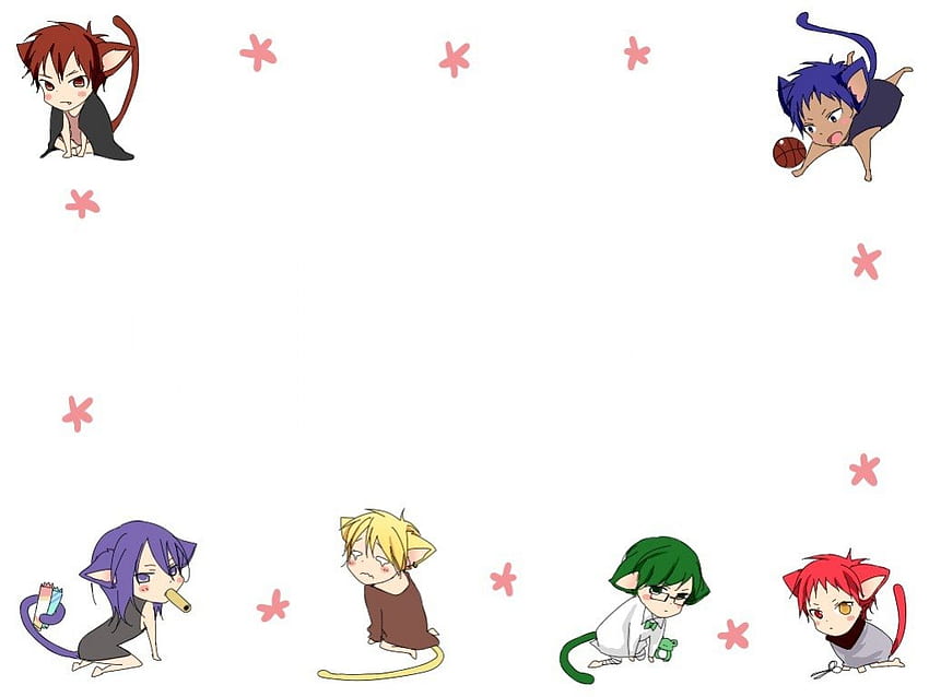 Kuroko Kucing, kuroko, kucing, daiki aomine, akashi, taiga kagami, midorima, kise, murasakibara, bola basket Wallpaper HD