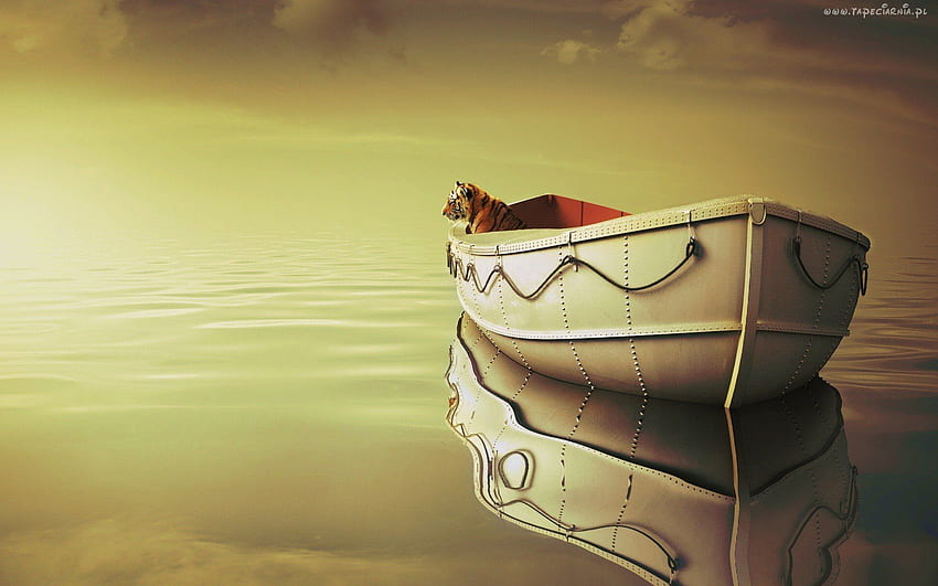 Life of Pi / and Mobile Background HD wallpaper | Pxfuel