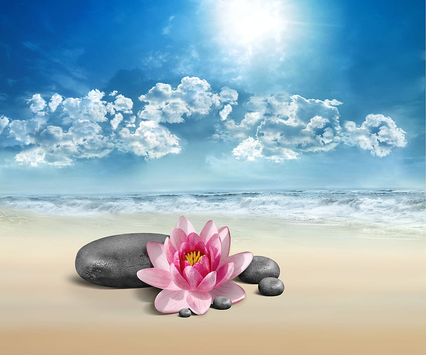 Pink lily flower and spa rocks - relaxing summer time. Beautiful HD wallpaper