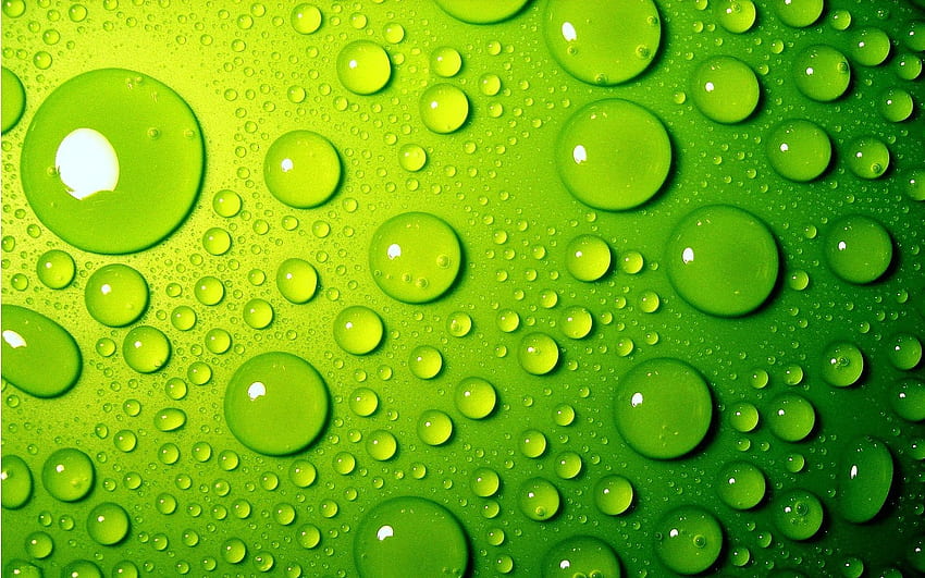 gocce d'acqua sul verde - Bubbles, Cool, Bolla verde Sfondo HD