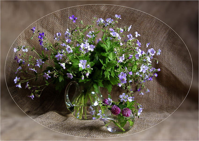 flores silvestres, azul, natureza morta, jarro, vidro, flores, selvagem papel de parede HD