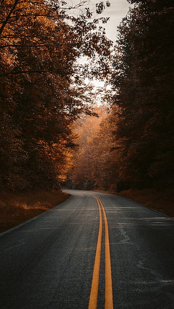 fall road wallpaper