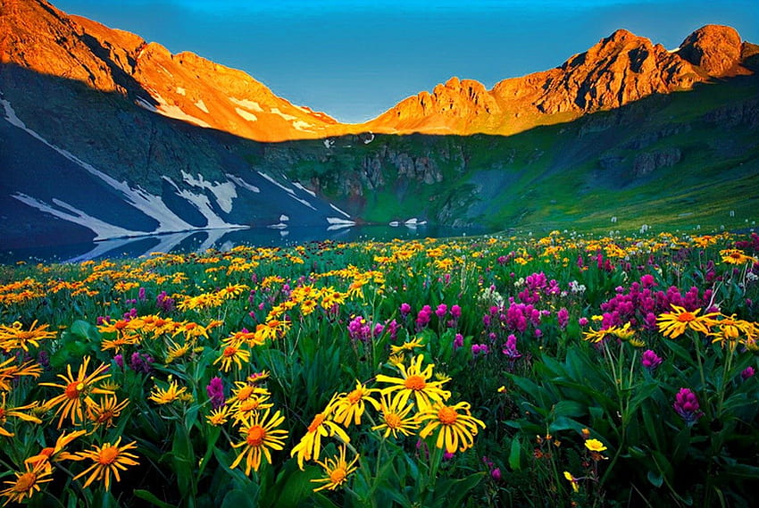 Mountain flowers, glow, peaks, beautiful, grass, nice, mountain, lake, summer, pretty, green, greenery, nature, flowers, sky, water, lovely HD wallpaper