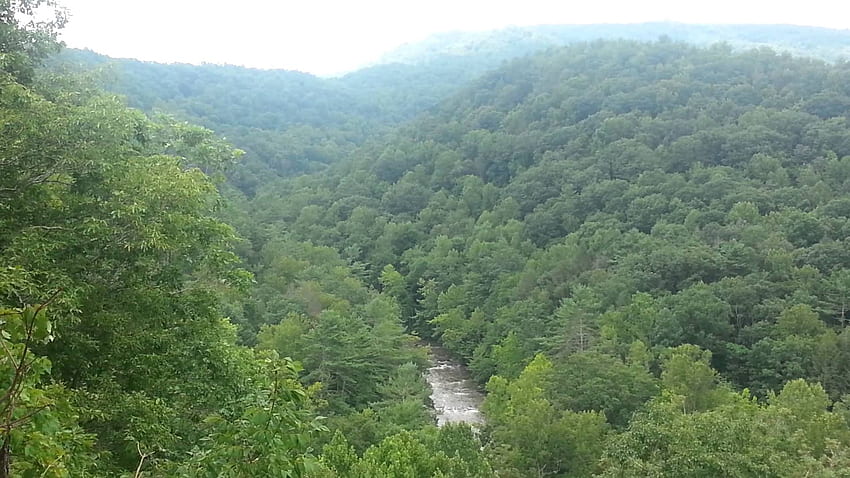 La montagna degli Appalachi si affaccia sul West Virginia, Appalachian MTS Sfondo HD